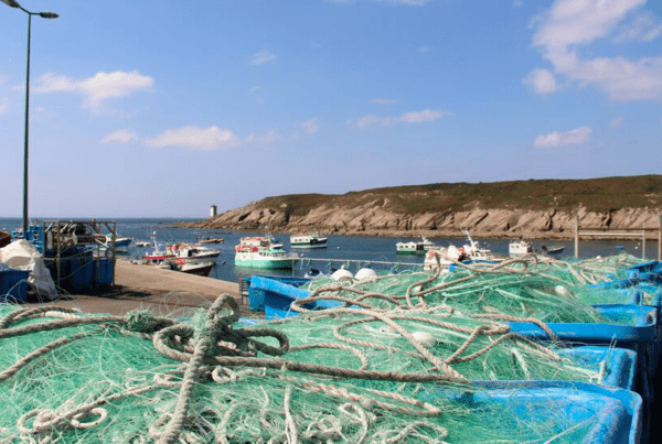 filets de pêche ramenés à terre