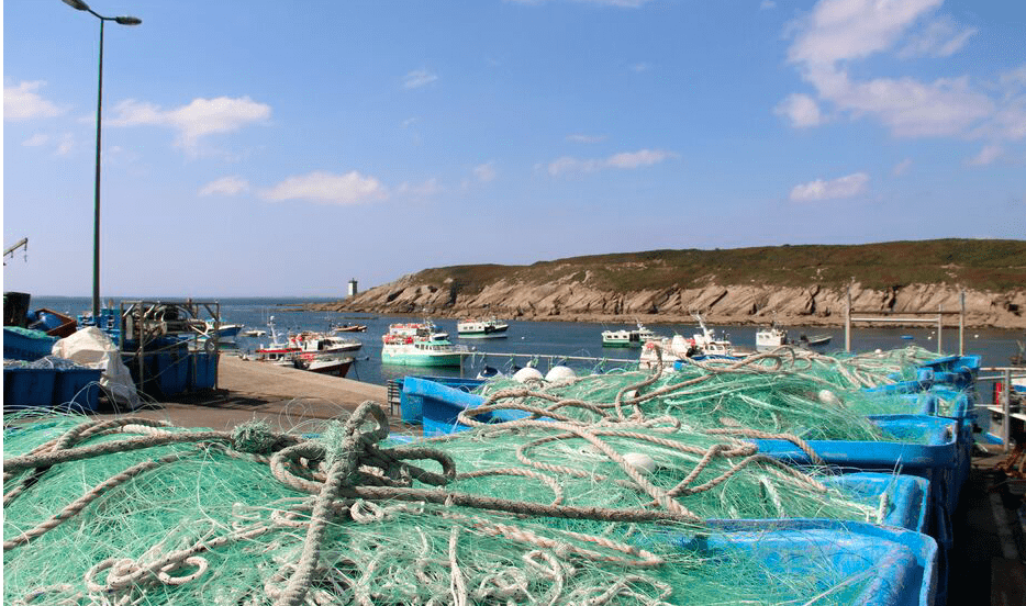 filets de pêche ramenés à terre