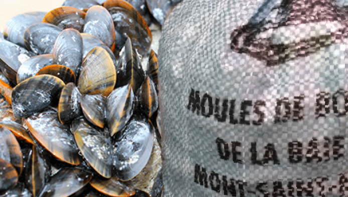 Moules de bouchot : quel impact sur l’environnement ?