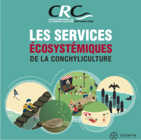 Conchyliculture : les services écosystémiques