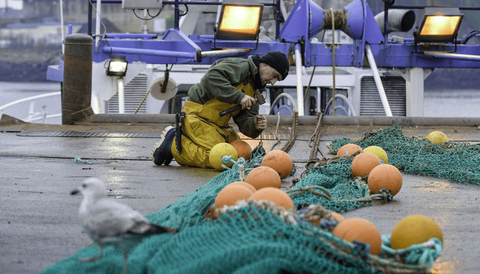 Port de Keroman à Lorient : nouveaux outils de traçabilité