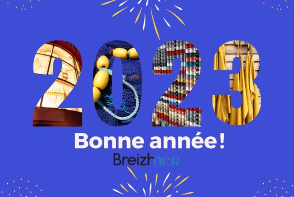 Bonne année Breizhmer