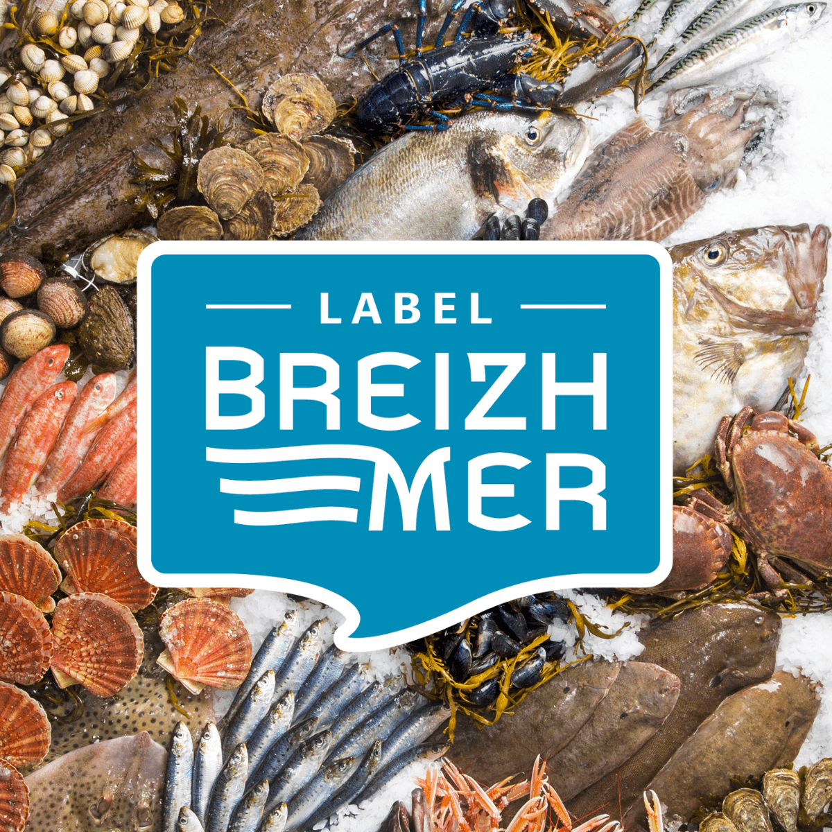 Marché public : campagne de communication Label Breizhmer