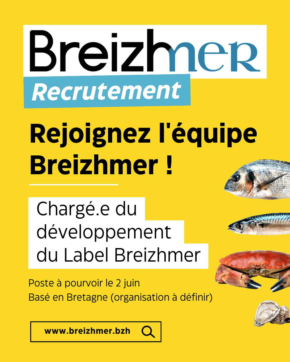 Recrutement – Rejoignez l’équipe Breizhmer ! 