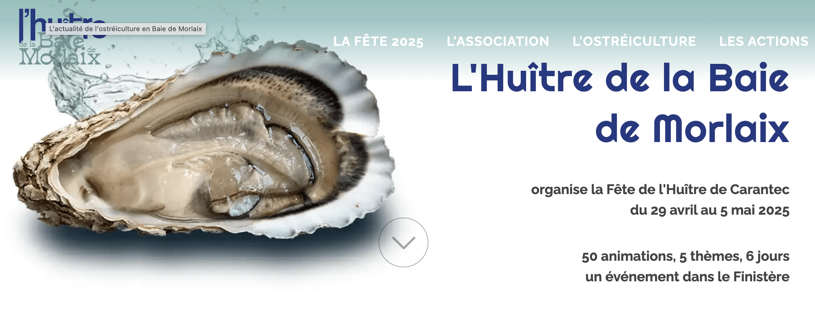 Fête de l’huître de Carantec 2025